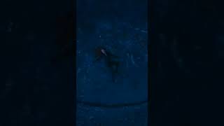 Black Widows Sad Death