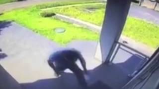 CCTV cameras catch 'lazy postman refusing to deliver parcel'   and pushing note through door instead