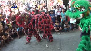 DILORO || AJI PUTRA KALIWLINGI 22 JUNI 2019