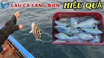 Cách Câu Cá Căng Biển Hiệu Quả | Tiến Bens - Fishing