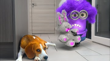 TOP 100 Minions in REAL LIFE Animation Compilation! Must see!