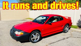 I Bought A One Owner Sn95 Mustang Cobra With 443,000 Miles