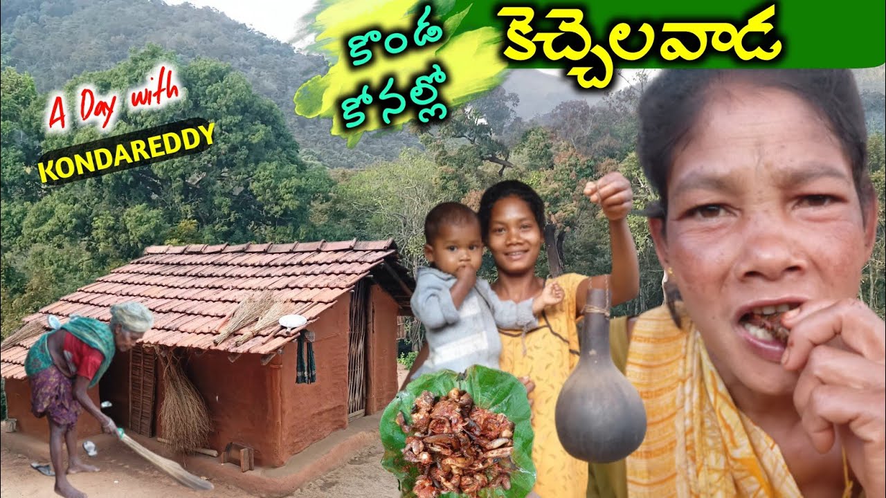 దండకారణ్యంలో గిరిబిడ్డలు-Tribal wildlife @TribalMirror