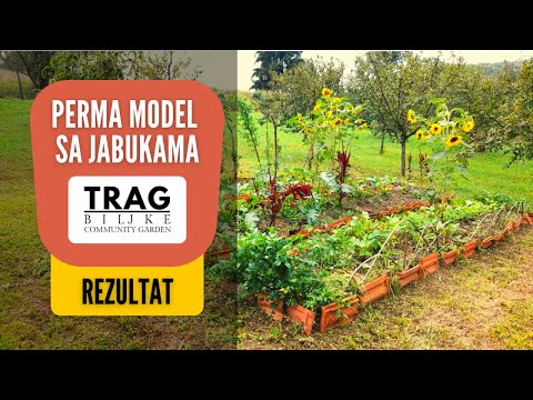 Video: Model je funkcionalan. Izgradnja modela 