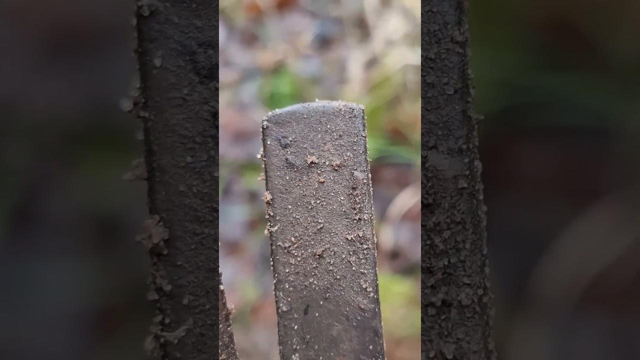 Ww1 german tent pegs excavation from rigasfrontline easternfront 