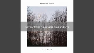 Peaceful, Brown Algorithmic Noise Hour