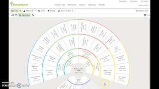 How to View Your Family Tree on FamilySearch.org
