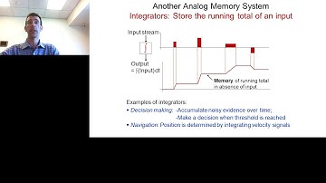 Cracking a Neural Circuit