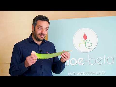 Video: Specie Di Aloe