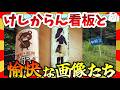 【🔥爆笑】情緒が忙しい!けしからん看板たちと愉快な面白画像集!