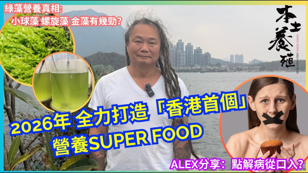 【ALEX分享】食物質素重要，定計數重要？| 小球藻 螺旋藻 金藻有幾勁？綠藻營養真相 |  本土養殖2026計劃 (2026.2.28)