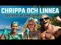 Reaktionsp chrippas  linneas vi vntar tvillingar