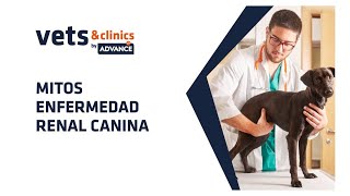 14.ES Mitos sobre la enfermedad renal crónica canina  (Dr. Xavier Roura)