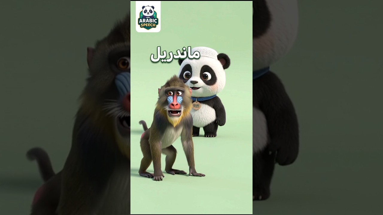 🐒 12 Arabic Monkey Names with Baby Panda! 🐼| Learn Animal in Arabic for Kids | ARABIC SPEECH #shorts