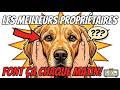 La routine de 30 secondes qui change tout pour votre chien (matin)