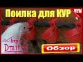 Чашечные поилки для кур.  Как сделать автономную  поилку для кур ,  своими руками.