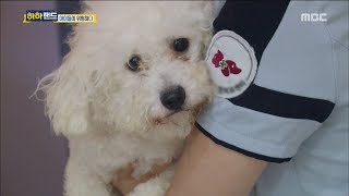 [Haha Land] 하하랜드 - Make a new house 20170809