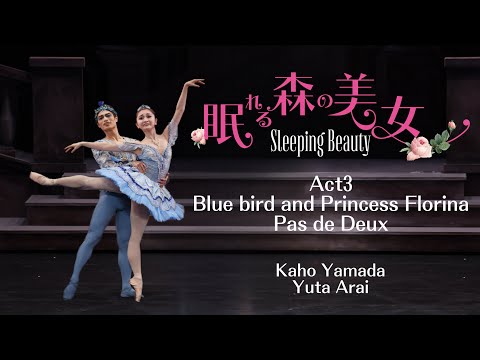 眠れる森の美女第3幕よりフロリナ王女とブルーバードのグラン・パ・ド・ドゥ blue bird and princess Florina Pas de Deux　山田佳歩×新井悠汰