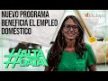 Nuevo programa beneficia al empleo doméstico