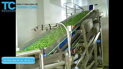 Hệ thống băng tải rửa, cắt rau củ - Thành Công