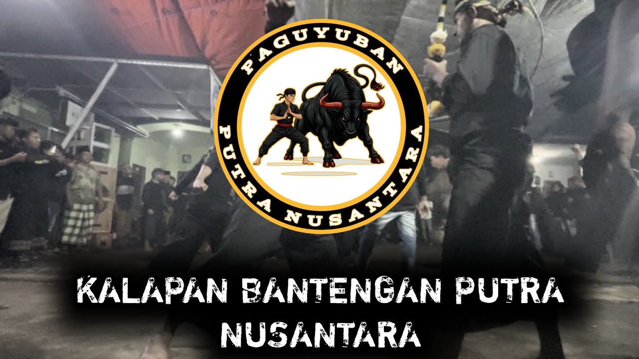 KALAPAN BANTENGAN PUTRA NUSANTARA|| special tren feat:TEAM BECCA||ngipek,kanigoro,pagelaran,malang