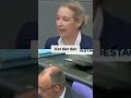 Merz's Regierung: SPD-Unterwerfung und gescheiterte Politikwende #shorts