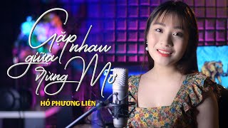 Video thumbnail of "Gặp Nhau Giữa Rừng Mơ Cover - Hồ Phương Liên |MV Official"