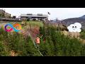 Highlining in the Smoky Mountains | Gatlinburg SkyPark