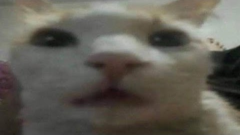 My part in Moist by AerocGP (GD 2.1)