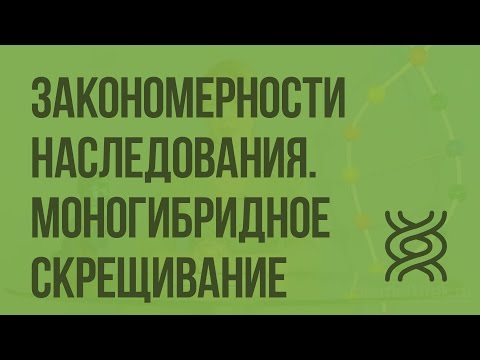 Закономерности наследования. Моногибридное скрещивание. Видеоурок по биологии 10 класс