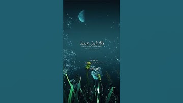 💕💕سورة البقرة (من ذا الذى يقرض الله قرضا حسنا فيضاعفه #القرآن#القران#القران_الكريم#القران_الكريم