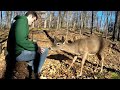 Man sits in the woods patiently for wild deer to approach