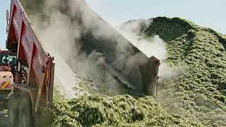 1000 HP MONSTER: Ultimate Corn Silage Harvest (Claas Jaguar 990)