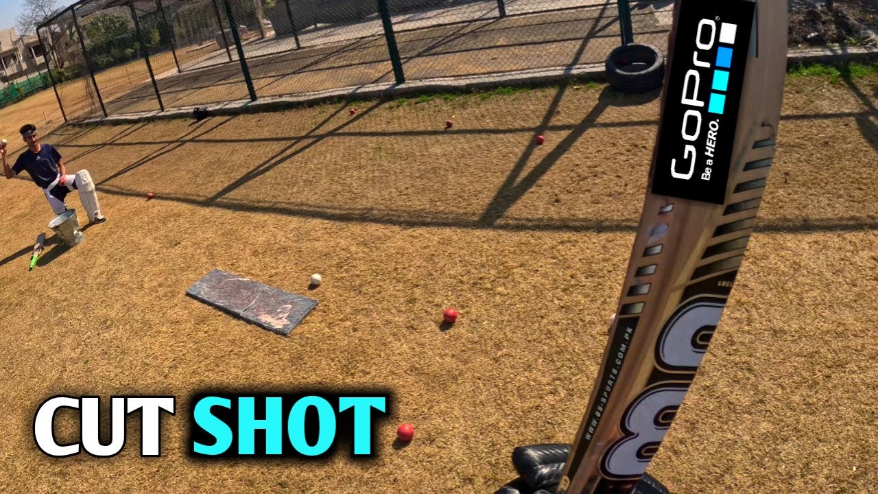 Mastering the Cut Shot A Thrilling Cricket Vlog Experience with Expert ...