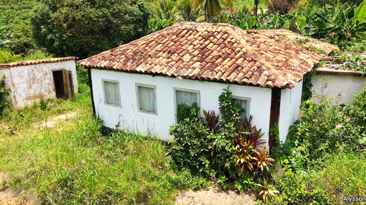 Interior de Minas Gerais, Sapucaia de Caratinga, famílias tocando a agricultura e pecuária na região