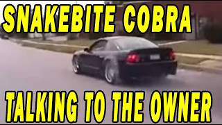 The Snakebite Kenne Bell Terminator Mustang Cobra - Interview With The Owner