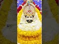 #khatushyam#khatu#khatushyamji#shyambaba#🙏🌹#shyam#shyambhajan#trending#youtubeshorts#viral#like#song