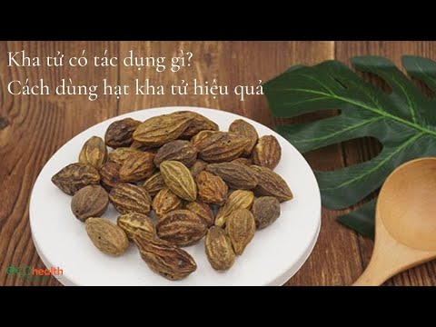 Video Kha tử có tác dụng gì? Cách dùng hạt kha tử hiệu quả - youtube