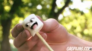 Cartoon Scream Compilation