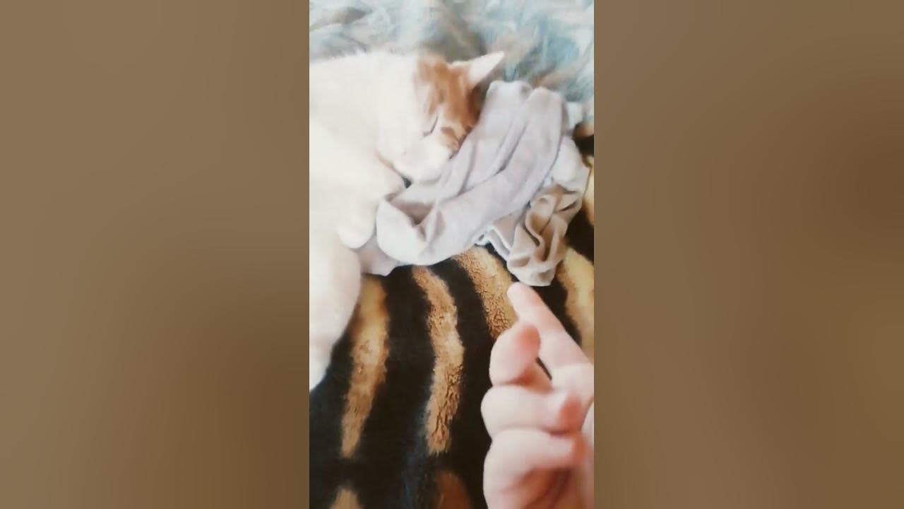 кофки - YouTube