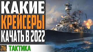 ОБЗОР ВЕТОК КРЕЙСЕРОВ! 👍 КАКИЕ КРЕЙСЕРЫ ЛУЧШЕ КАЧАТЬ ⚓ World of Warships