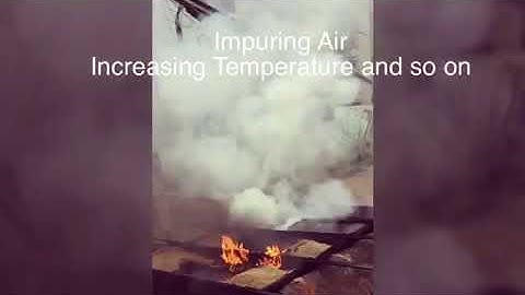 ENV101: Environmental Pollution