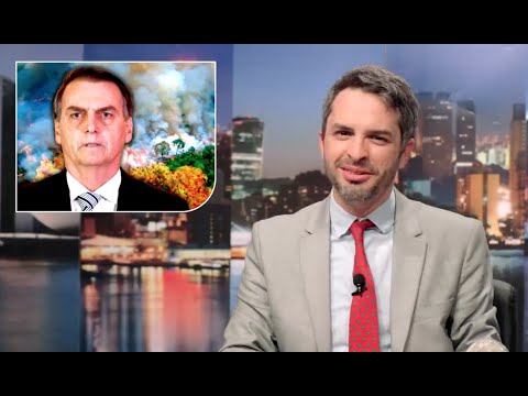 QUEIMADAS NA AMAZÔNIA - Diario Semanal