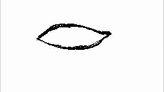 rough draft animation