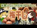 【ゆっくり解説】おにぎりの定番！梅干しの栄養について解説！