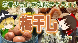 【ゆっくり解説】おにぎりの定番！梅干しの栄養について解説！