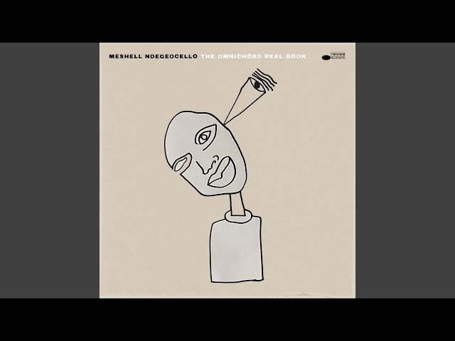 Meshell Ndegeocello - Perceptions