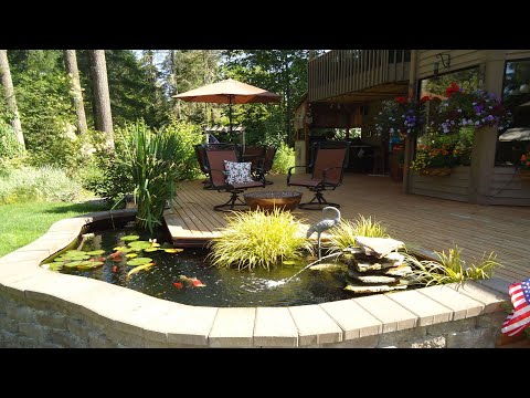 Video: BEAUTIFUL! 100+ KOI FISH POND DESIGN IDEAS | TIPS GUIDE FOR CREATE RELAXING FISH POND AT HOME