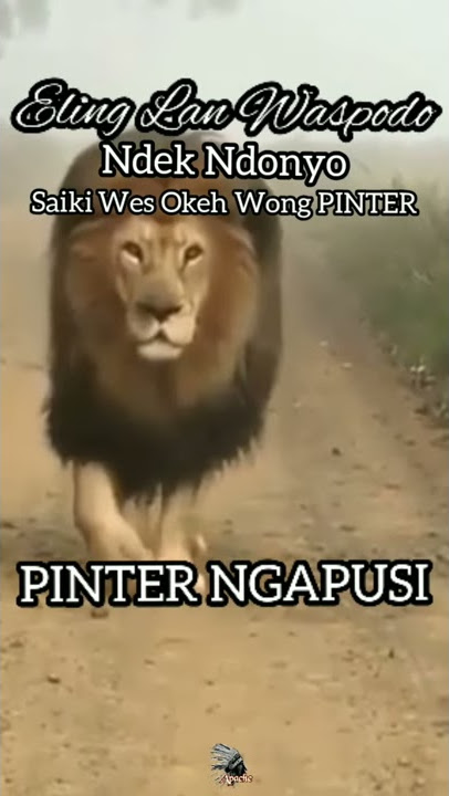 Story wa jowo