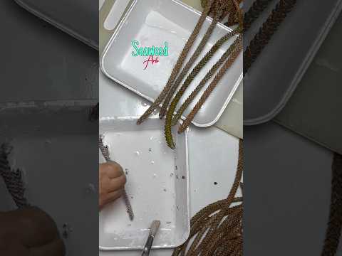 Cómo Conservar RAMAS y HOJAS Naturales muy Flexibles #shorts #encolando #conservar #naturaleza #diy
